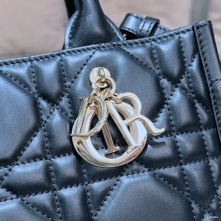 2405YA0163 Dio Bags 0825